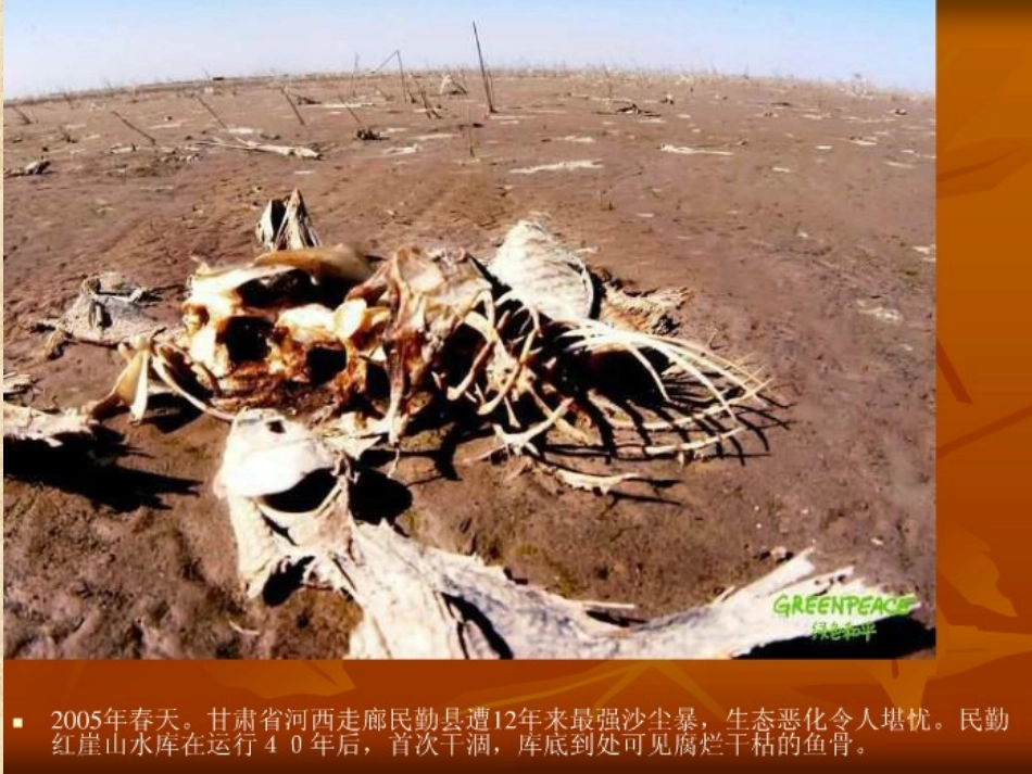 新环境保护法及环保管理.ppt_第3页