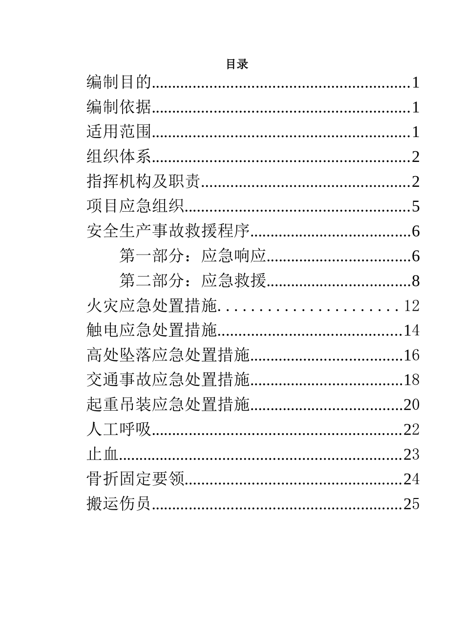 2025安全生产事故应急手册.docx_第2页