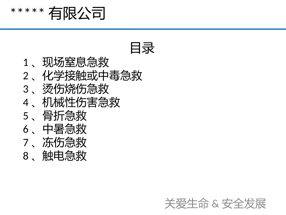 2025公司应急救援手册.pptx_第2页