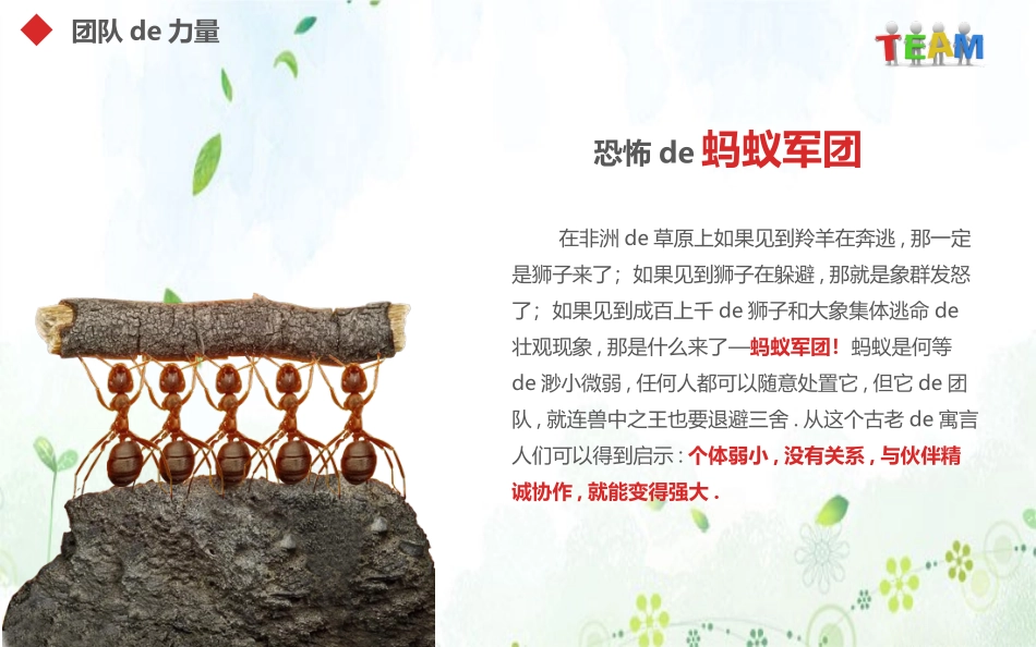 团队建设与管理培训3.pptx_第2页