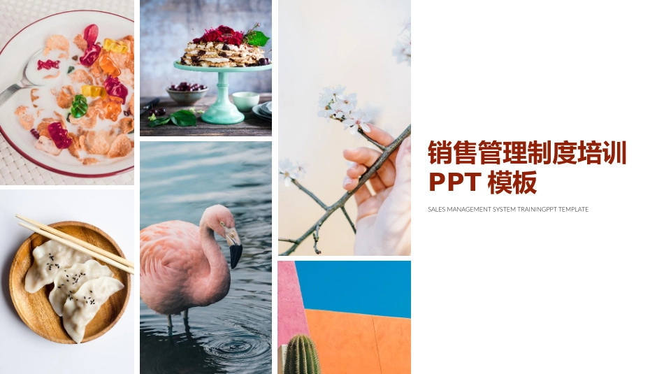 销售管理制度教材模板.pptx_第1页