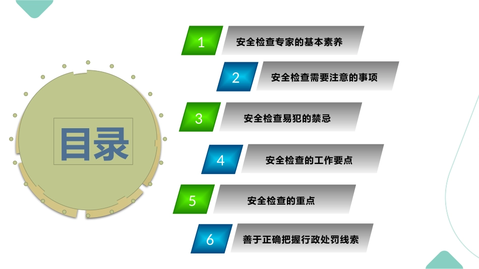 做称职的安全检查专家.pptx_第2页