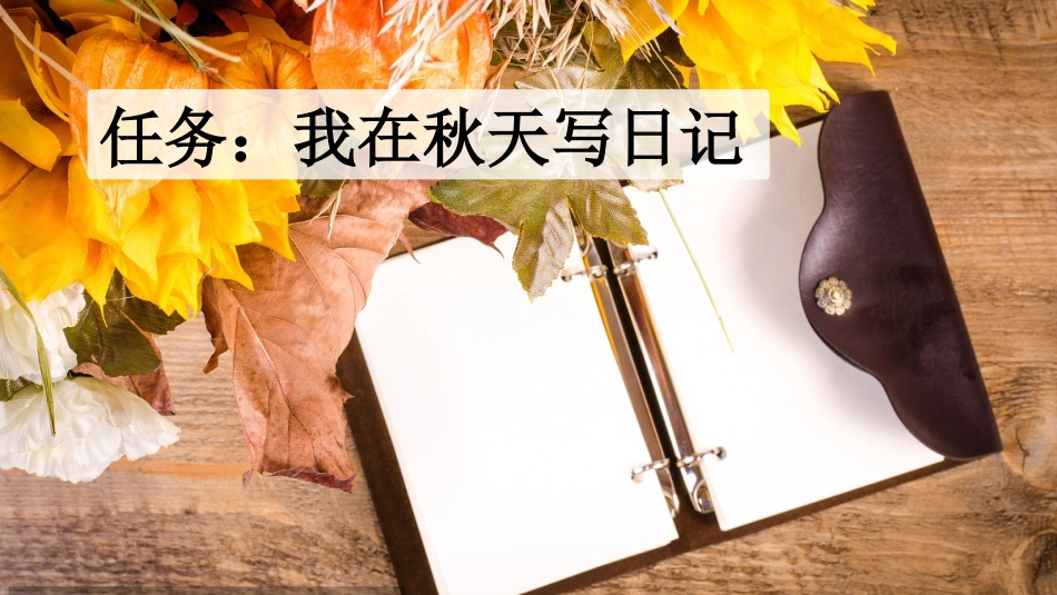 统编版语文三年级上册-习作：写日记-教学课件多篇.pptx_第2页