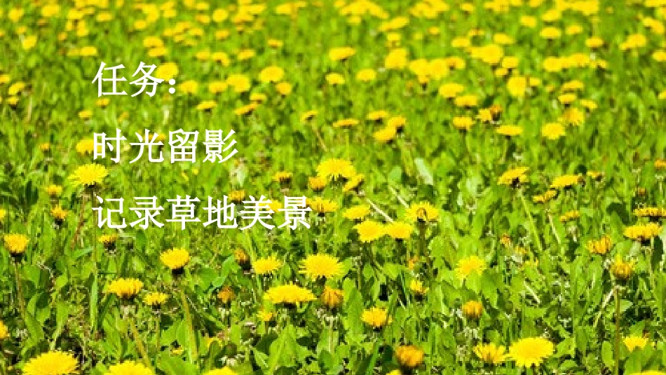 统编版语文三年级上册-16金色的草地-教学课件多篇.pptx_第2页