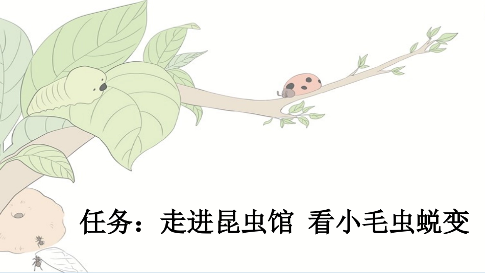 统编版语文二年级下册-22小毛虫-教学课件多篇.pptx_第2页