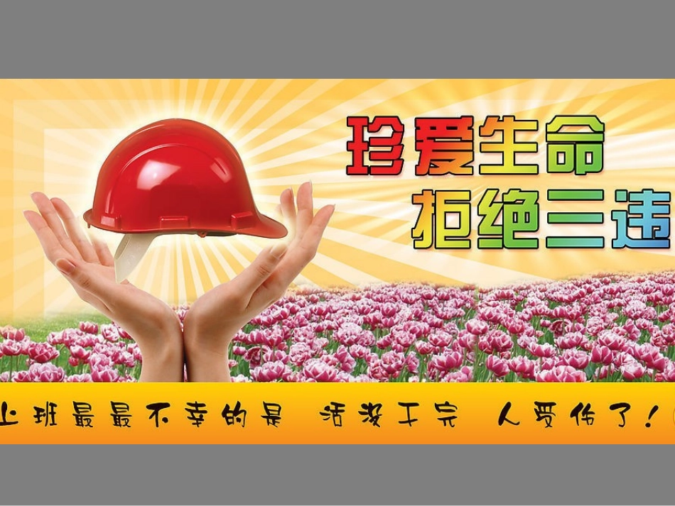 反“三违”安全培训.pptx_第2页