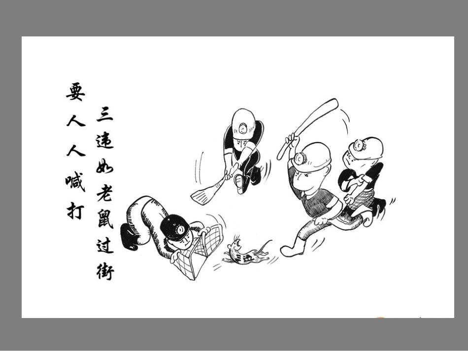 反“三违”安全培训.pptx_第3页