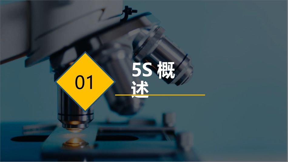实验室5S推行培训.pptx_第3页