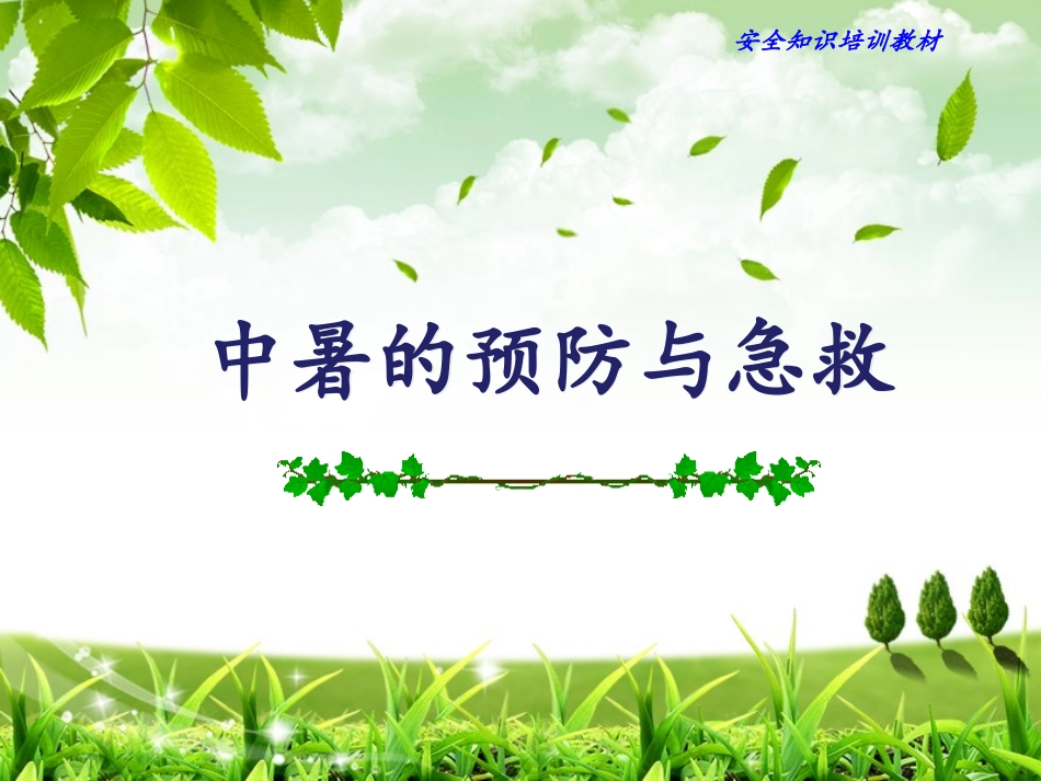中暑的预防与急救.ppt_第1页