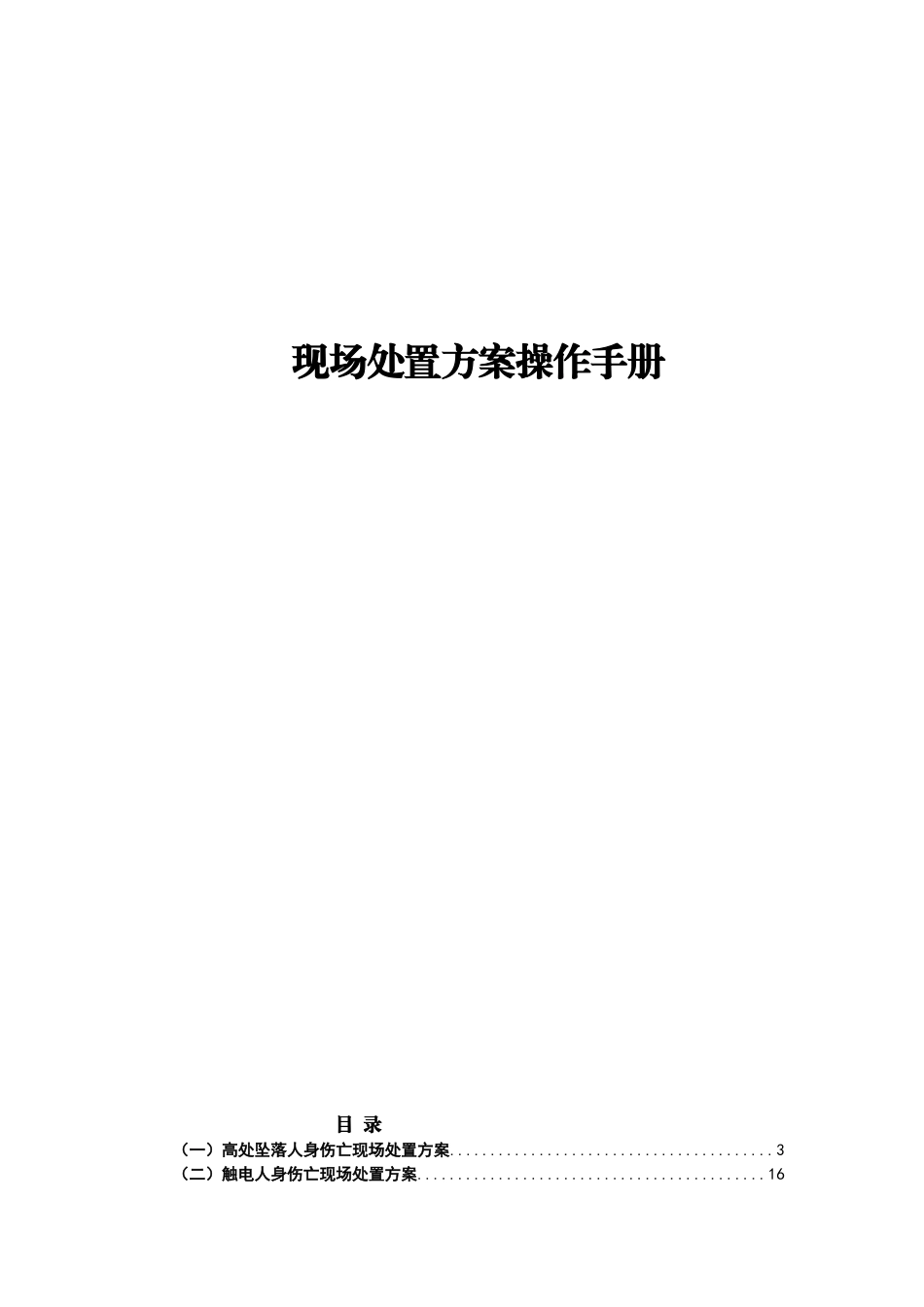 化工企业现场处置方案管理手册.doc_第1页