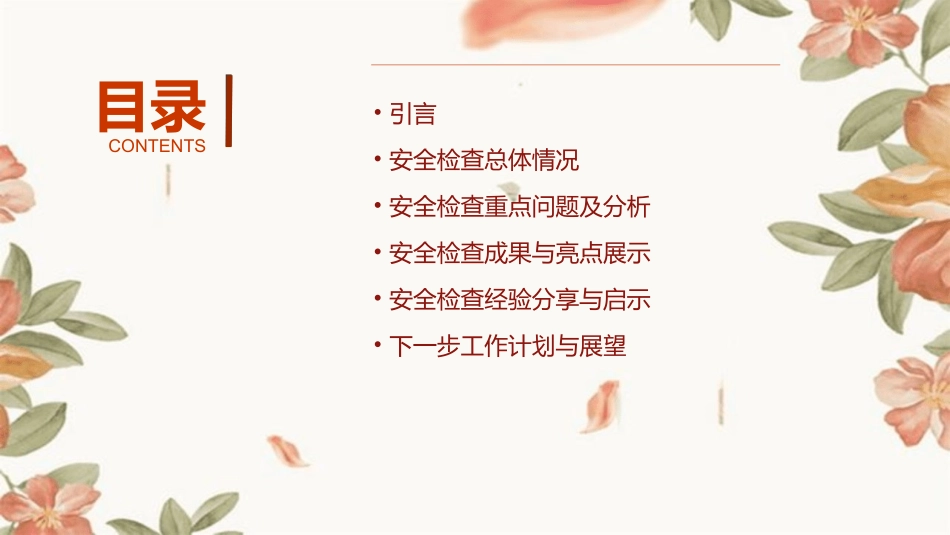 安全检查工作总结.pptx_第2页