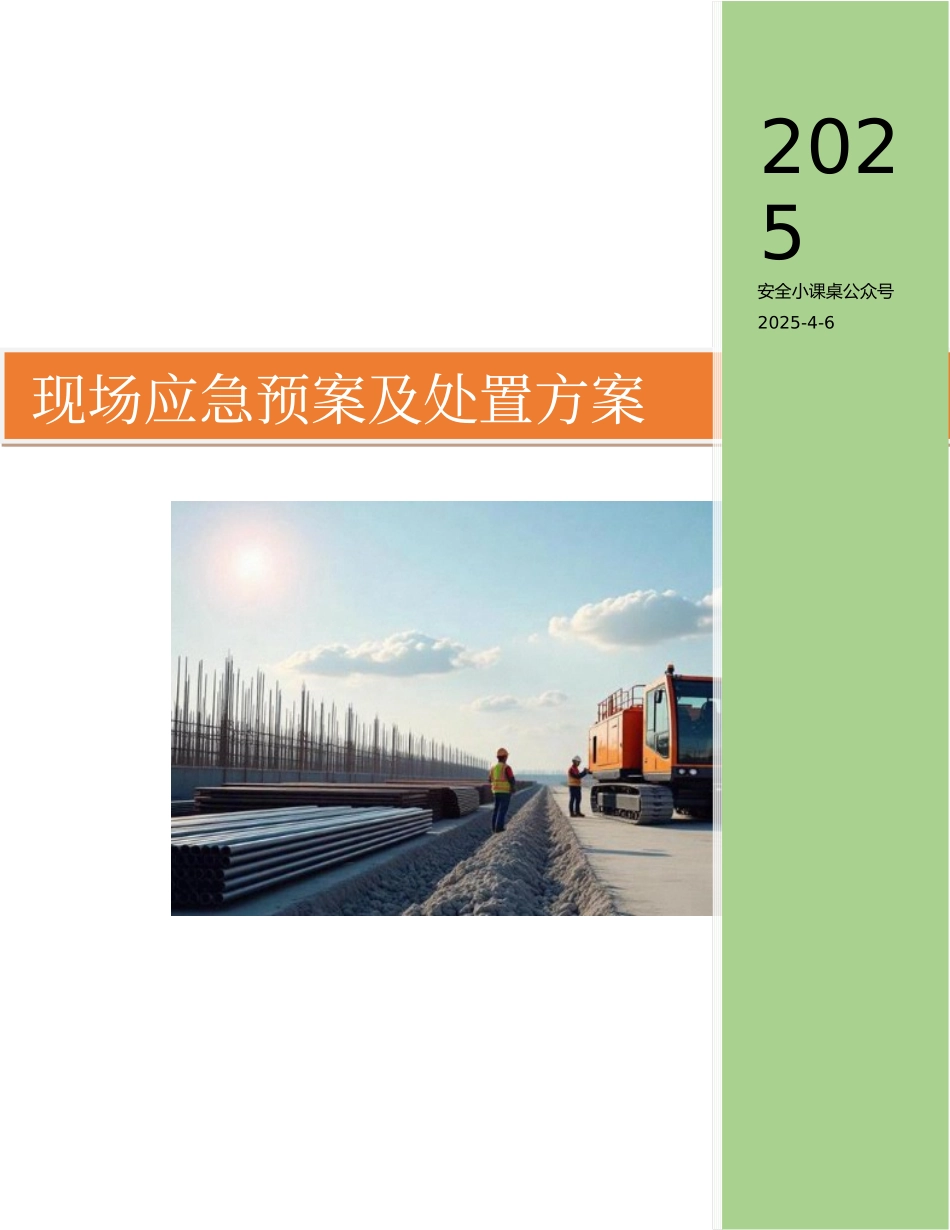 43项现场预案及处置方案汇编.docx_第1页