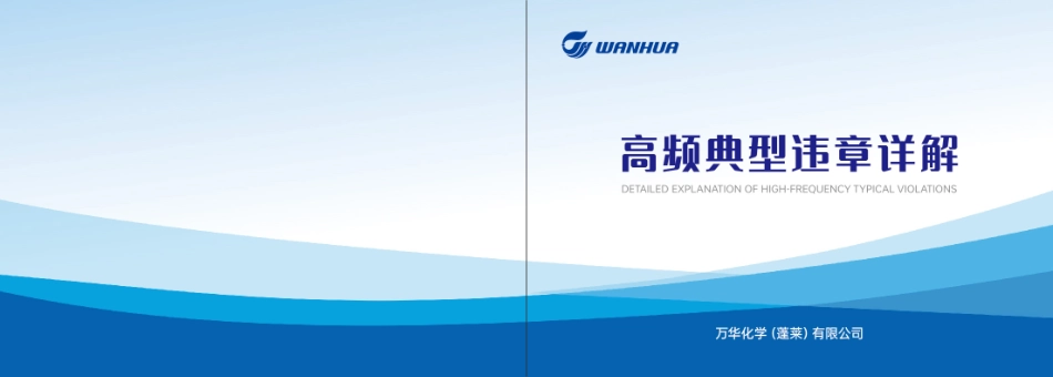 新高频典型违章详解手册.pdf_第1页
