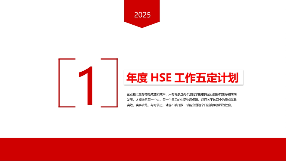 公司安全、环保、职业健康(EHS)工作计划与职责.pptx_第3页