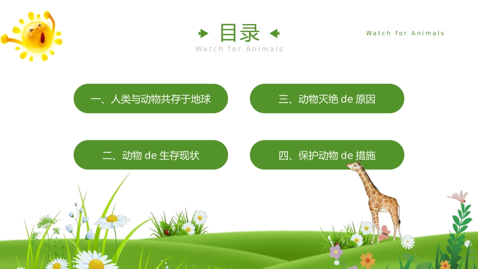 保护野生动物12.pptx_第2页