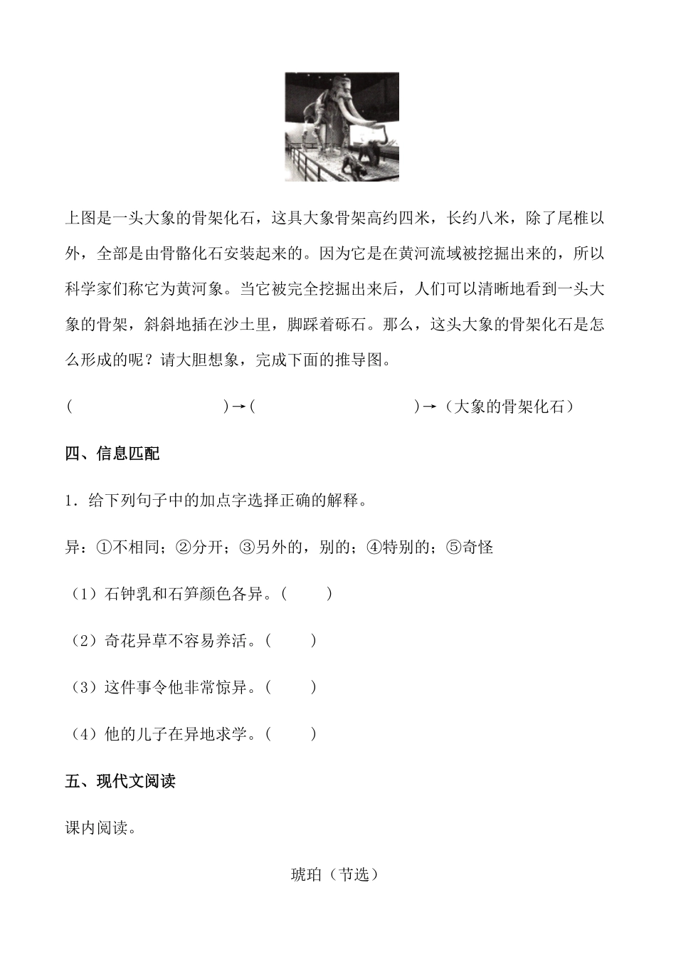 有答案-人教部编版四年级语文下册【分层作业】5《琥珀》课时练提高篇部编版.docx.pdf_第3页