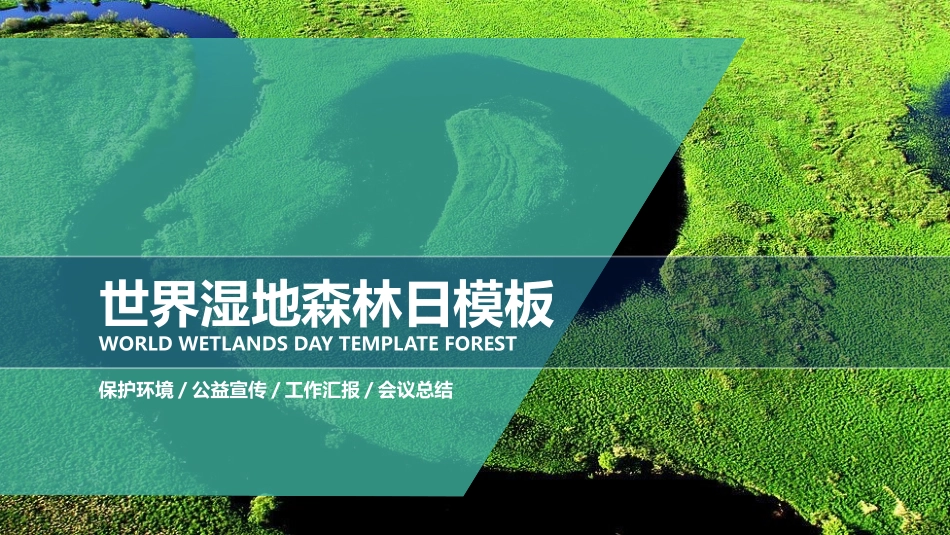 世界森林日主题教育10.pptx_第1页