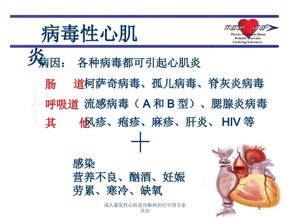 成人暴发性心肌炎诊断和治疗中国专家共识培训课件.pptx_第3页