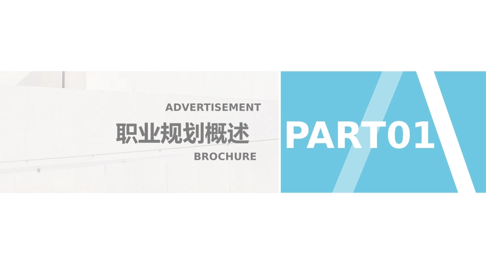大学生职业生涯规划创业计划书模板102.pptx_第3页