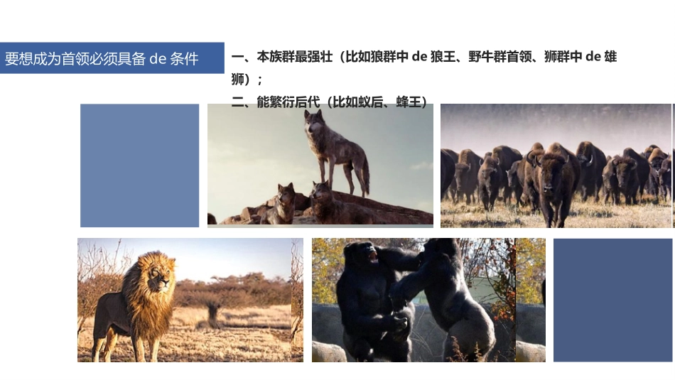 企业团队管理培训 责任与执行力培训148.pptx_第3页