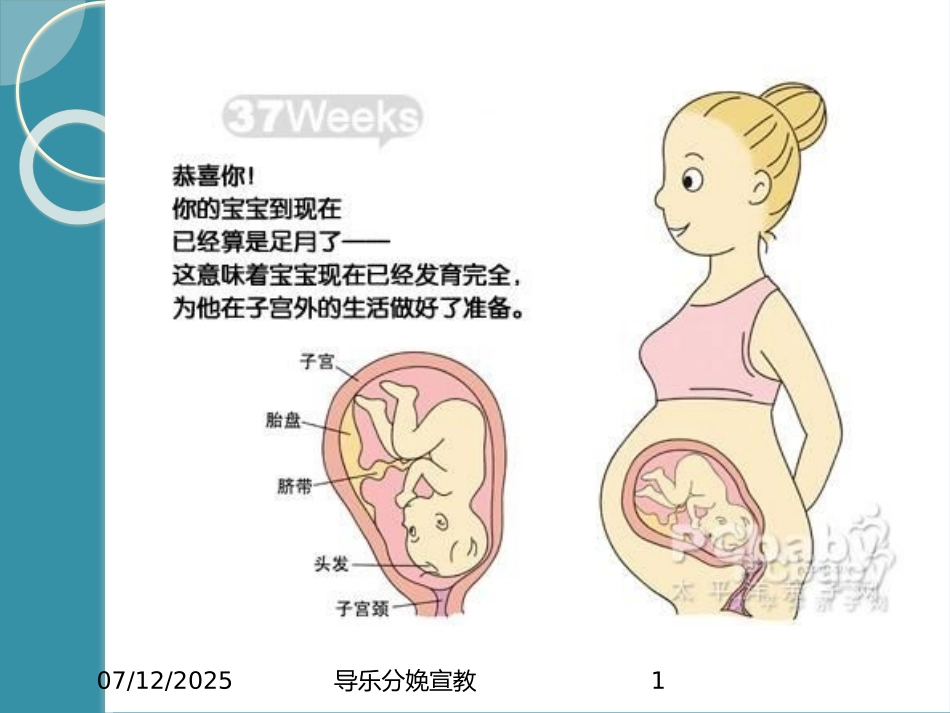导乐分娩宣教课件.pptx_第1页