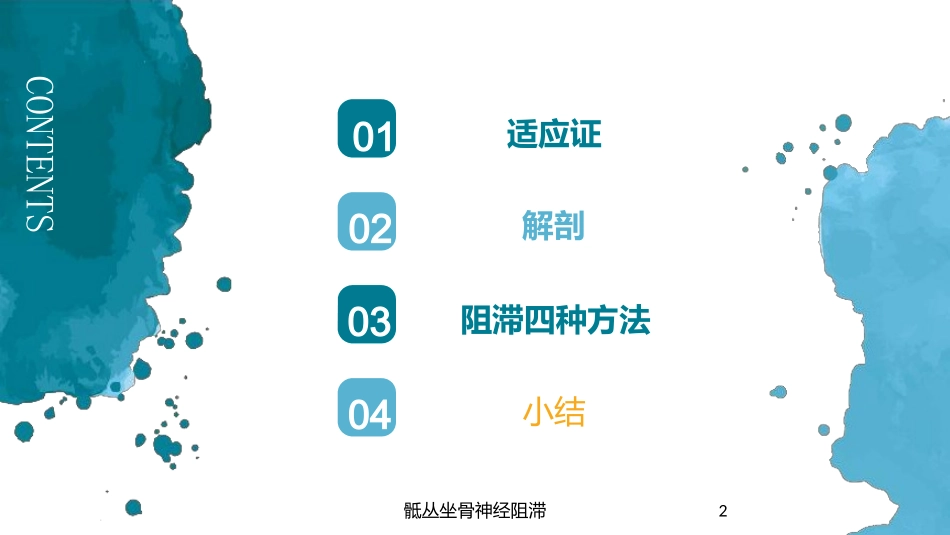 骶丛坐骨神经阻滞培训课件.pptx_第2页
