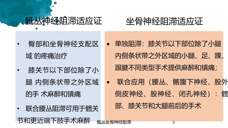 骶丛坐骨神经阻滞培训课件.pptx_第3页