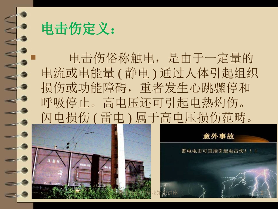 电击伤治疗专业知识讲座培训课件.pptx_第2页