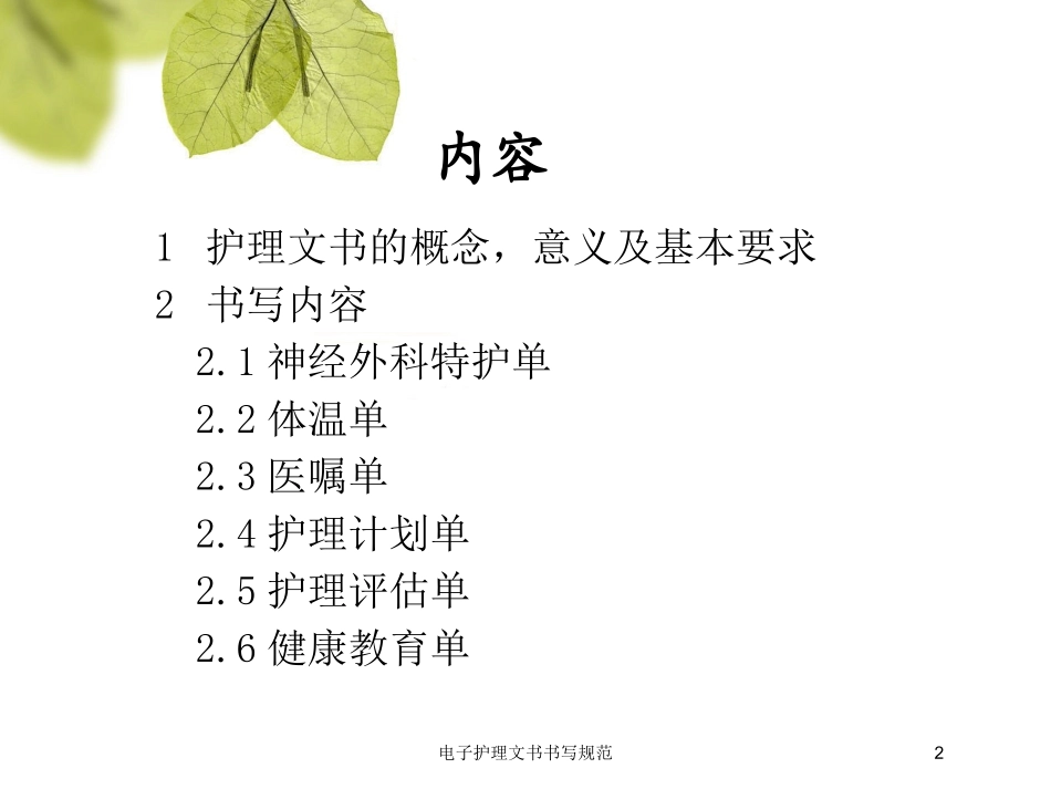 电子护理文书书写规范培训课件.pptx_第2页