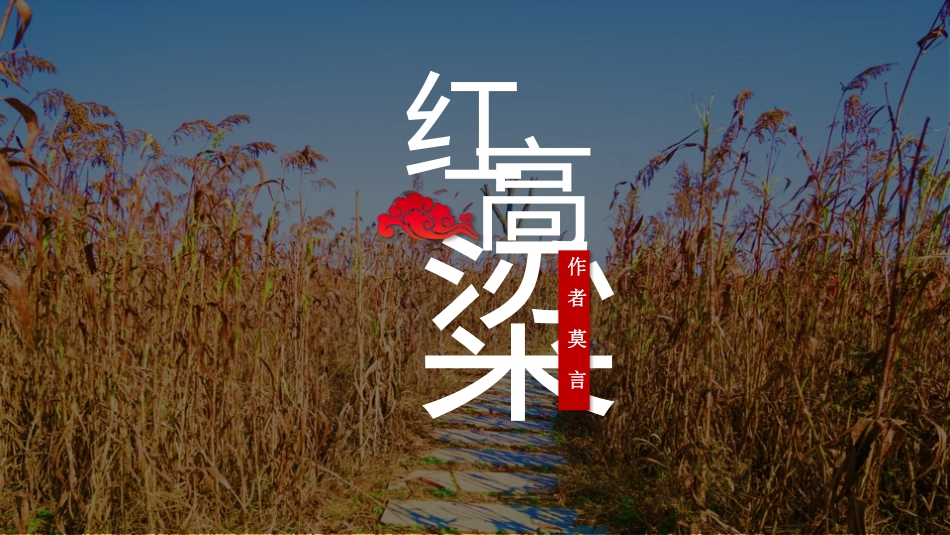 读书分享红高粱读书笔记.pptx_第1页