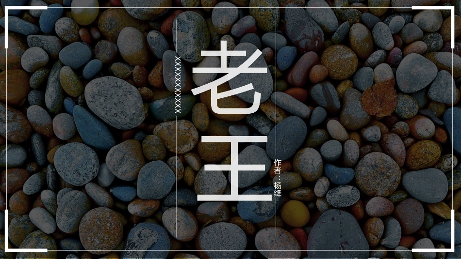 读书分享老王导读读后感.pptx_第1页
