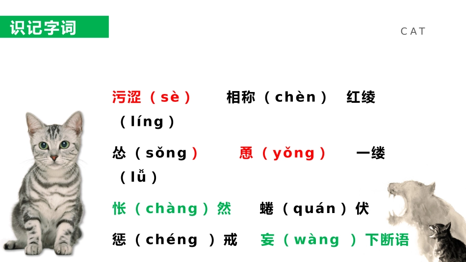 读书分享猫读书笔记.pptx_第3页