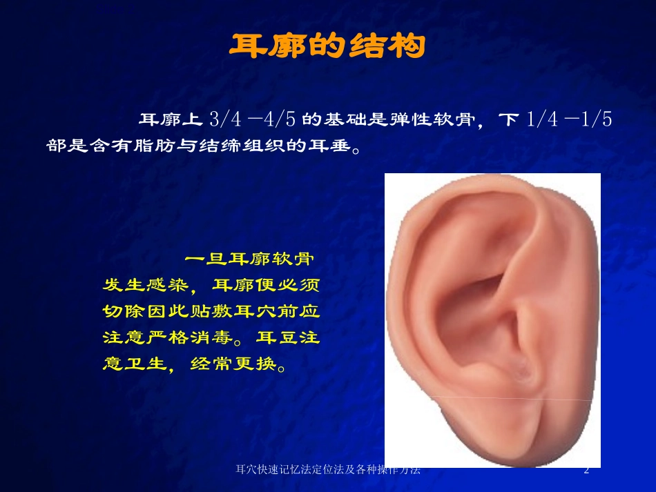 耳穴快速记忆法定位法及各种操作方法培训课件.pptx_第2页