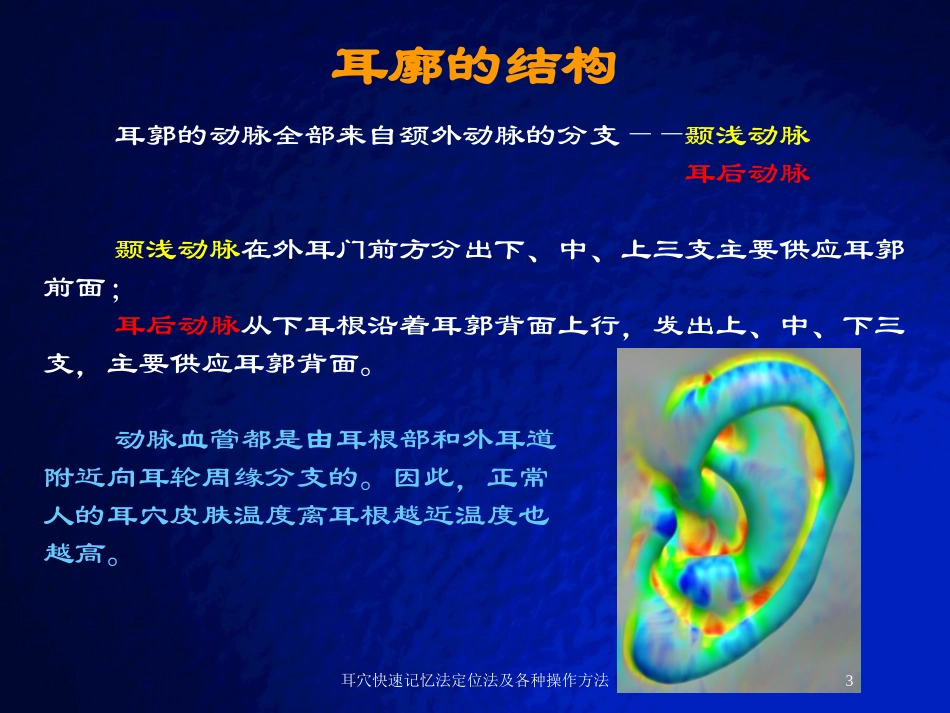 耳穴快速记忆法定位法及各种操作方法培训课件.pptx_第3页