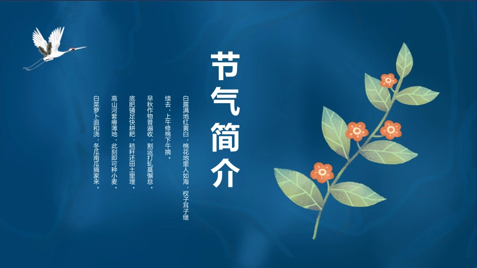 二十四节气之白露课件15.pptx_第3页
