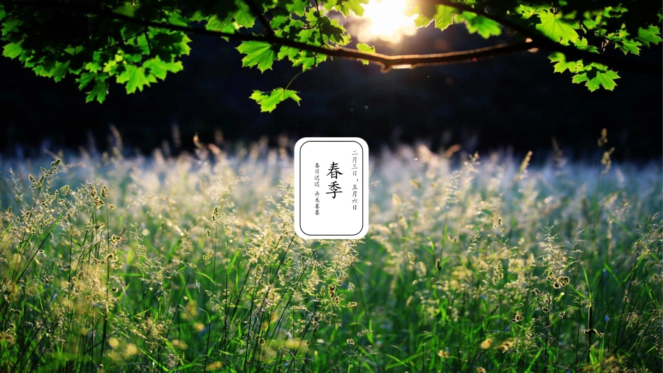 二十四节气之春分课件21.pptx_第3页