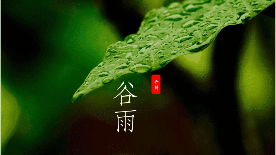 二十四节气之谷雨课件2.pptx_第1页