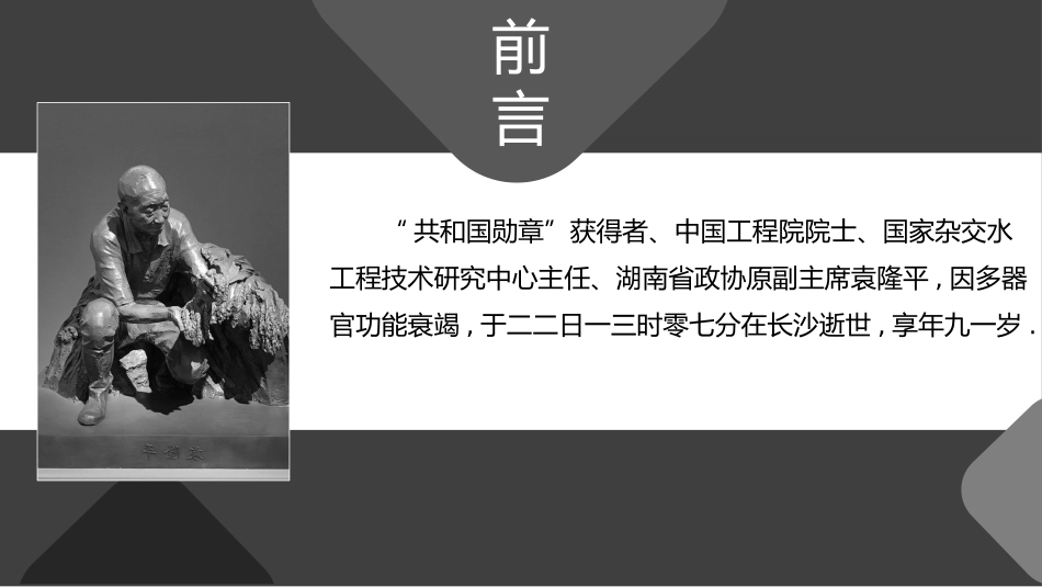历史人物袁隆平生平简介.pptx_第2页