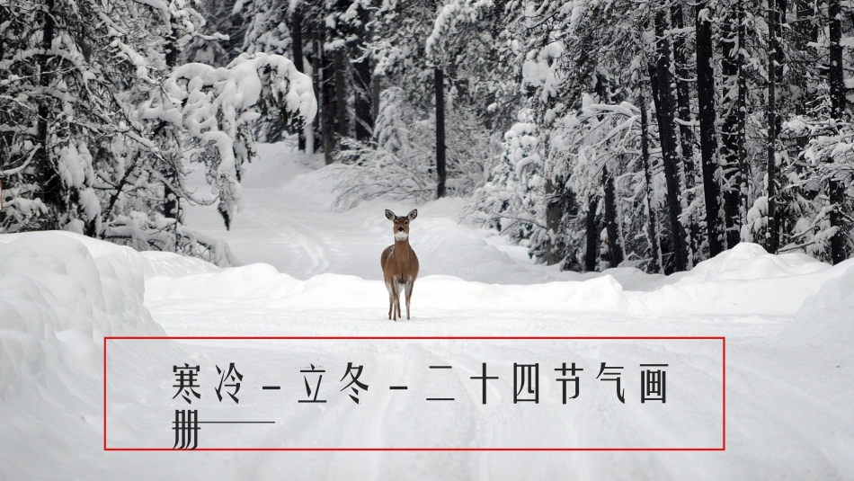 二十四节气之立冬课件71.pptx_第1页