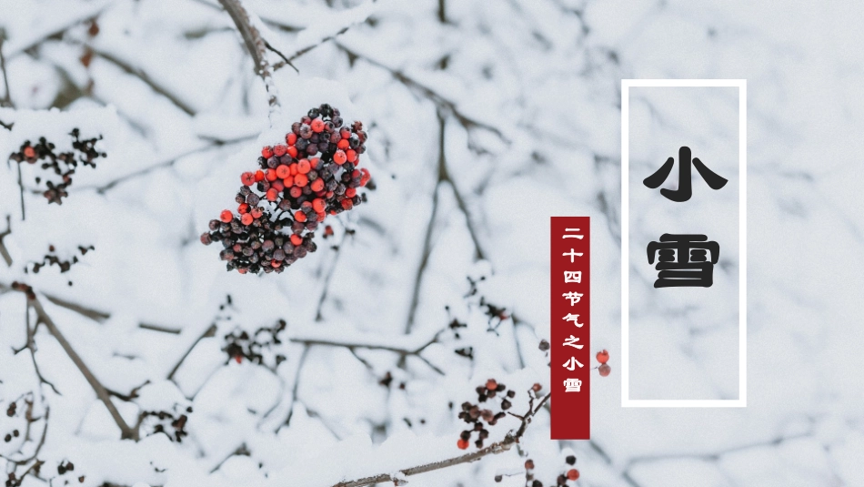 二十四节气之小寒课件1.pptx_第1页