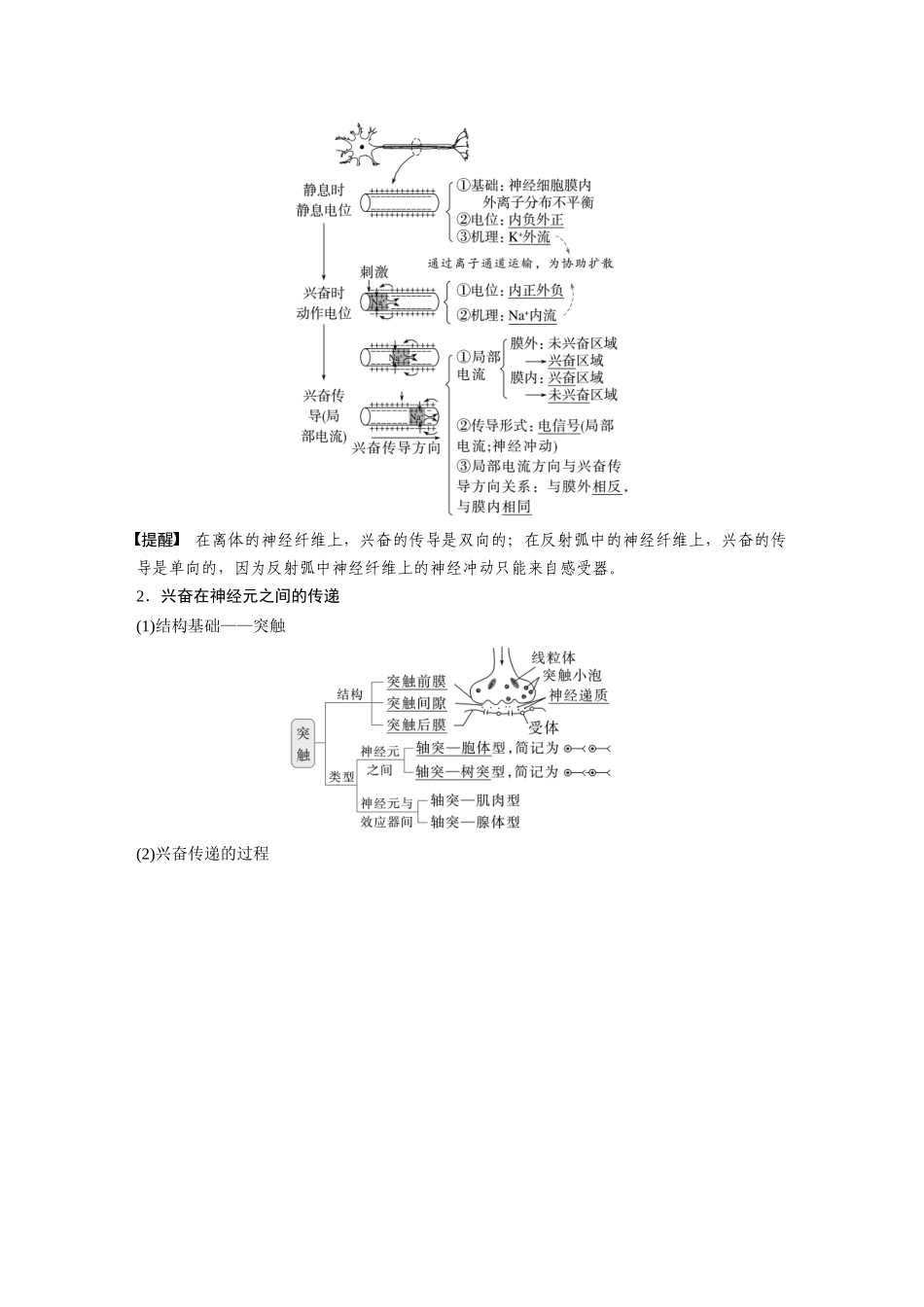 2026创新设计高考总复习生物（人教版）-第八单元　第38课时　神经冲动的产生和传导.docx_第2页