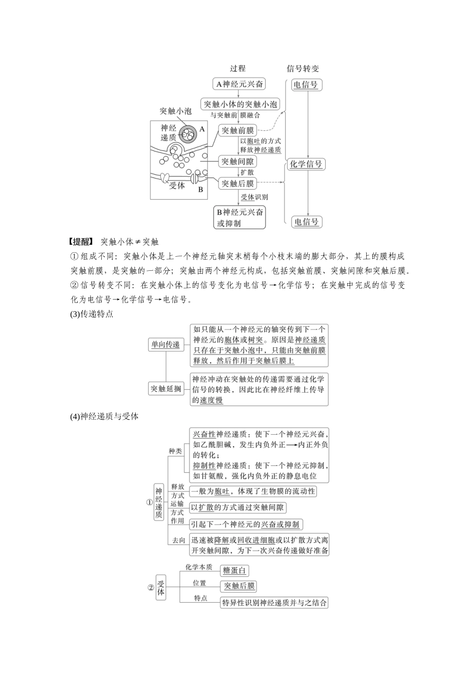 2026创新设计高考总复习生物（人教版）-第八单元　第38课时　神经冲动的产生和传导.docx_第3页