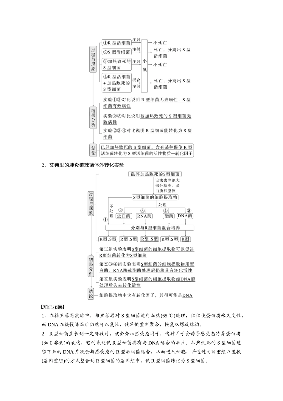 2026创新设计高考总复习生物（人教版）-第六单元　第29课时　DNA是主要的遗传物质.docx_第2页