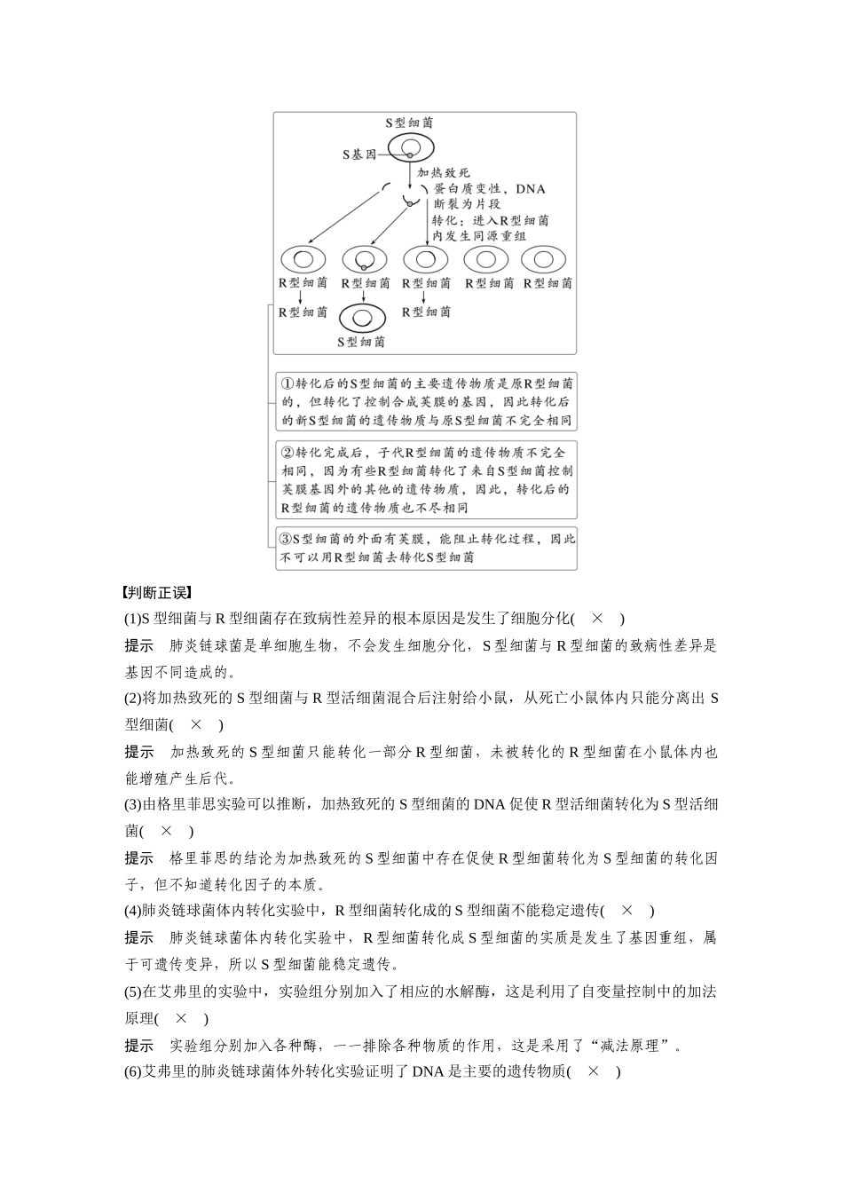 2026创新设计高考总复习生物（人教版）-第六单元　第29课时　DNA是主要的遗传物质.docx_第3页