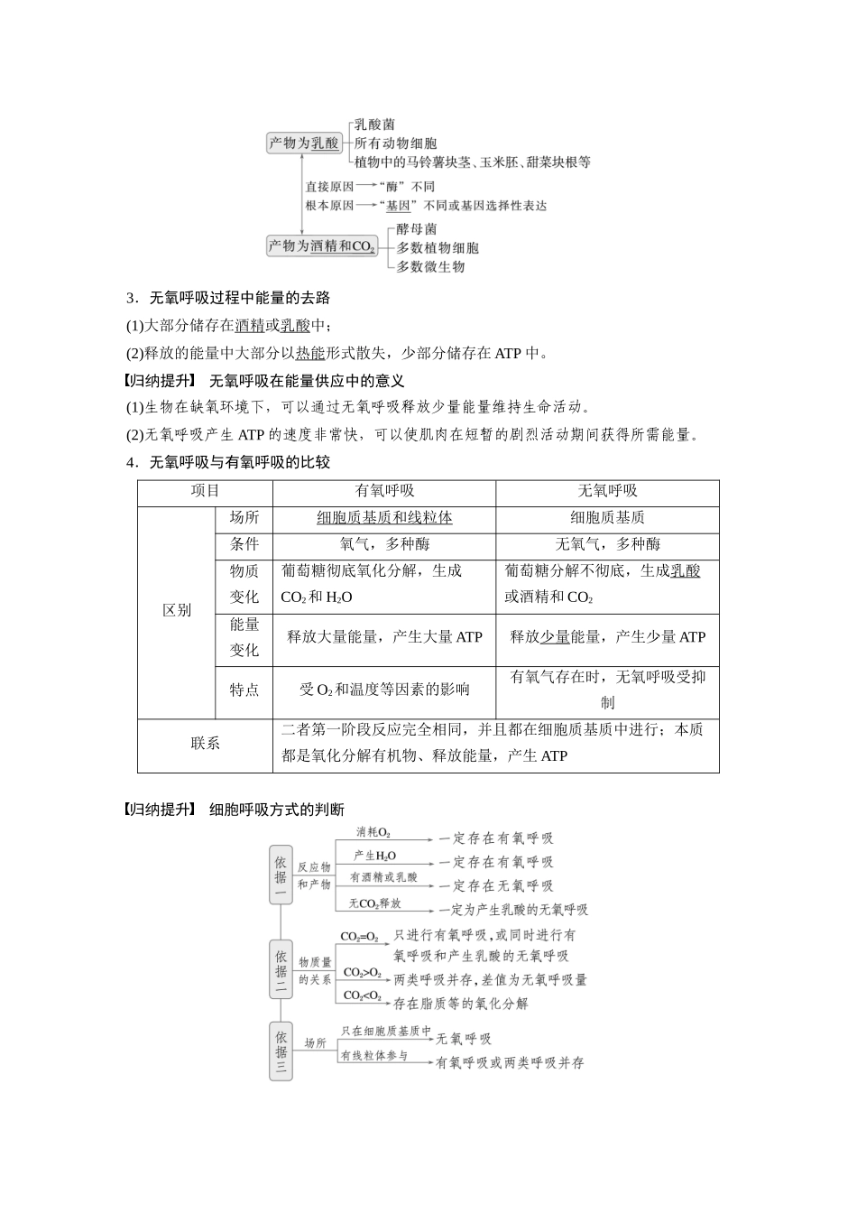 2026创新设计高考总复习生物（人教版）-第三单元　第14课时　无氧呼吸、细胞呼吸的影响因素及其应用.docx_第2页