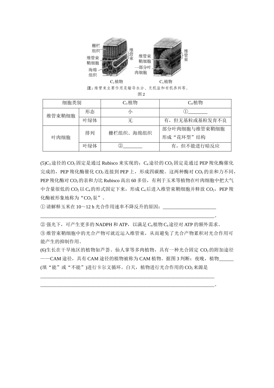 2026创新设计高考总复习生物（人教版）-第三单元　专题突破2　不同生物固定二氧化碳的方式比较.docx_第2页
