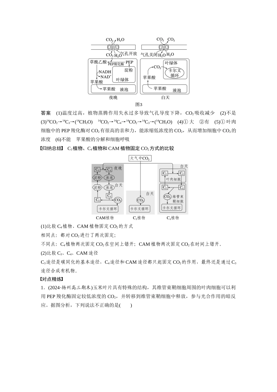 2026创新设计高考总复习生物（人教版）-第三单元　专题突破2　不同生物固定二氧化碳的方式比较.docx_第3页