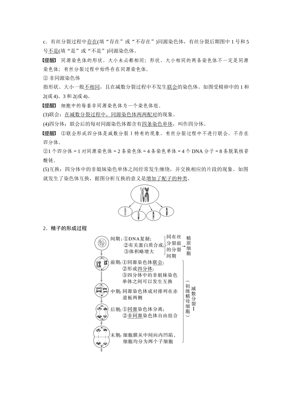 2026创新设计高考总复习生物（人教版）-第四单元　第21课时　减数分裂和受精作用.docx_第2页
