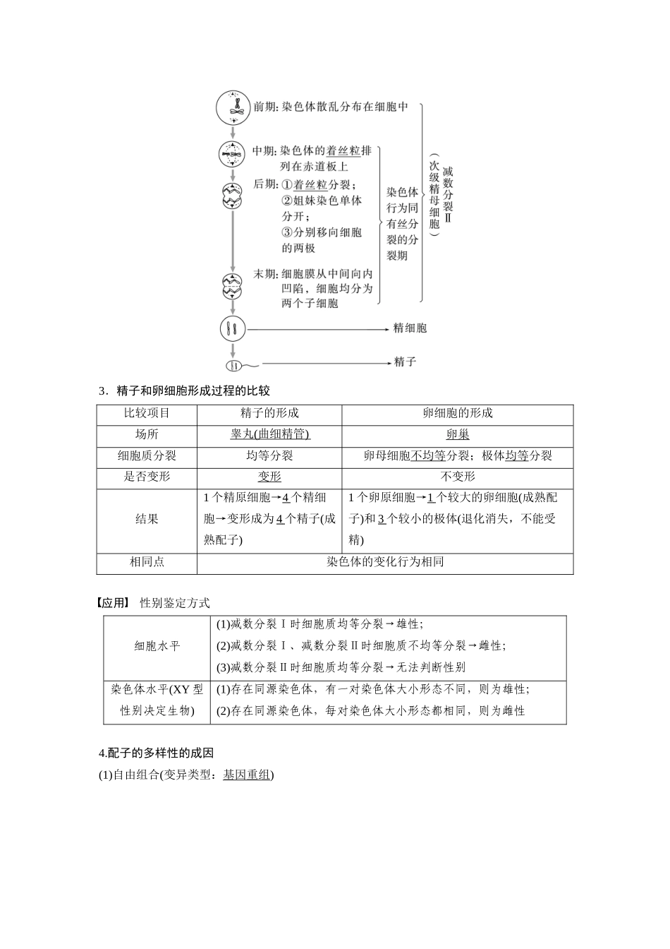 2026创新设计高考总复习生物（人教版）-第四单元　第21课时　减数分裂和受精作用.docx_第3页
