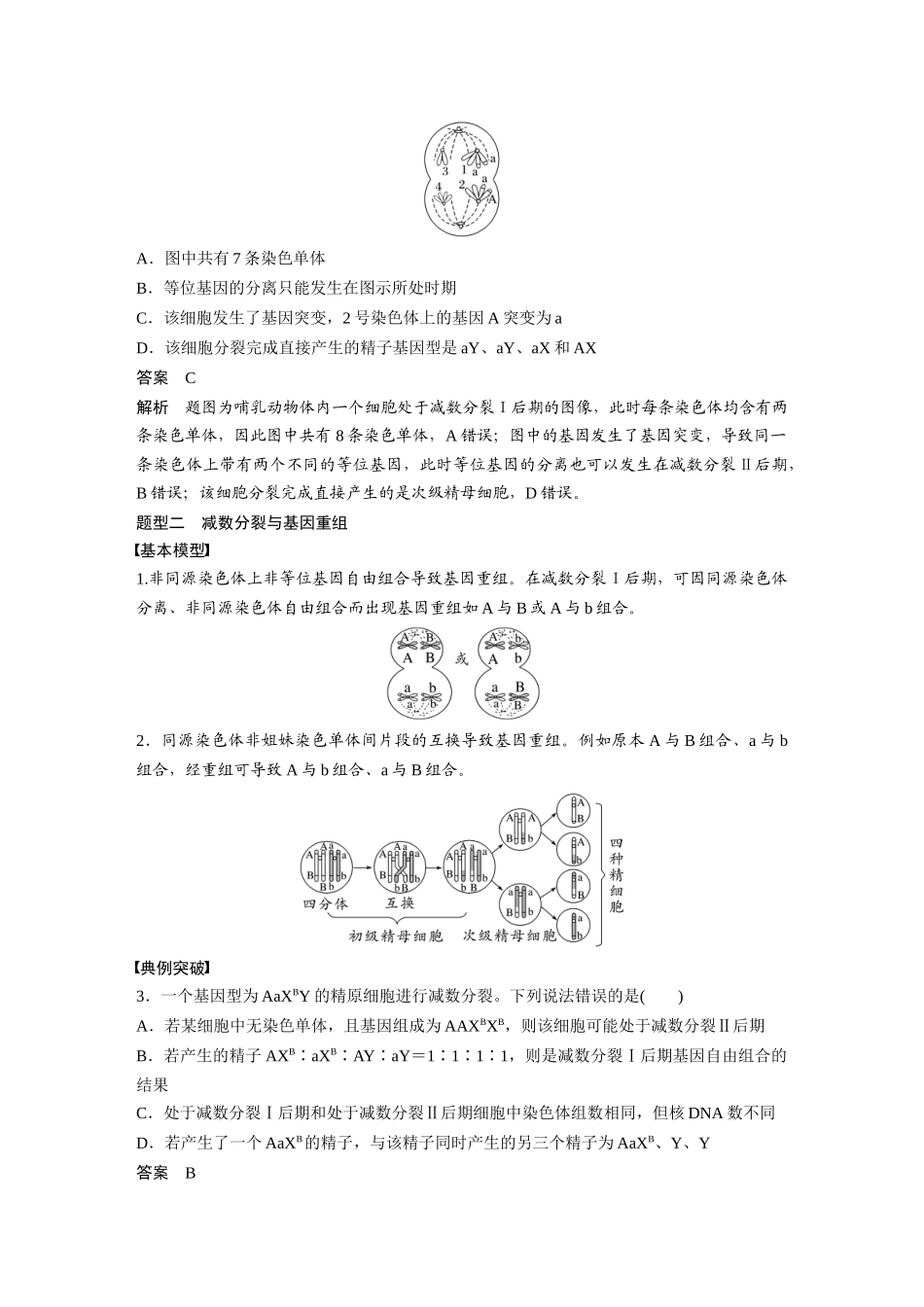 2026创新设计高考总复习生物（人教版）-第四单元　专题突破4　减数分裂与可遗传变异的关系.docx_第2页